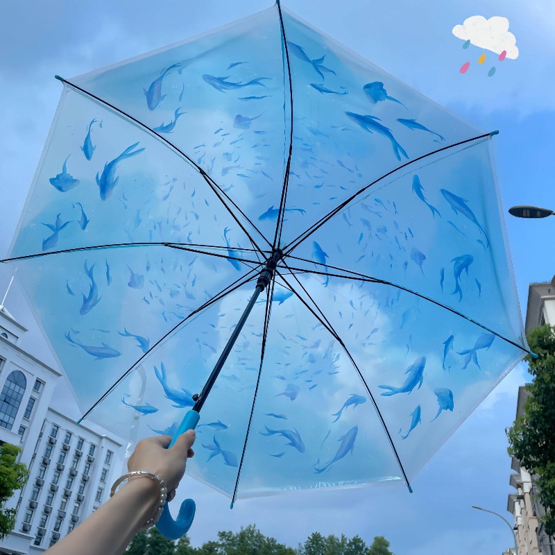 Paraguas Transparente con Dise - Photography Gear reseña y precio