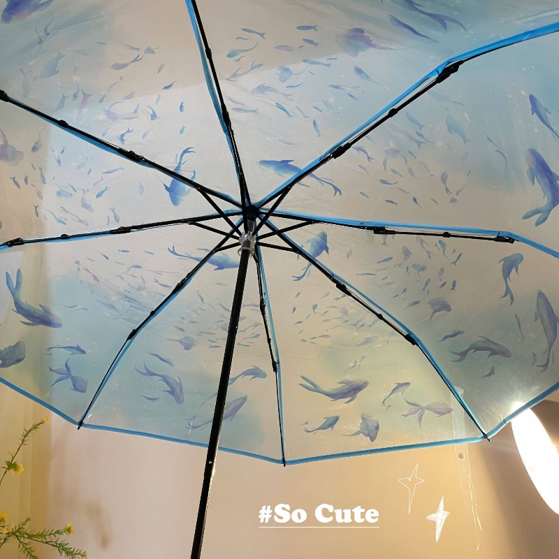 Paraguas Transparente con Dise - Photography Gear reseña y precio